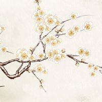 本命年路路通讲究 本命年路路通戴哪只手