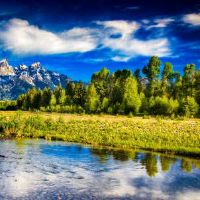 天蝎座和双鱼座婚配匹配值如何