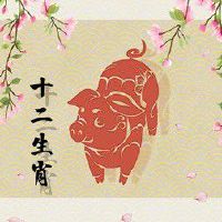属猪人如何提升运气 合理分配增加运气
