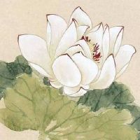 吸金聚财的名字最新热门 最吉利洋气店铺起名