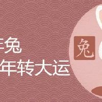 87年兔哪年转大运