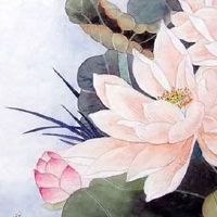 女人左眉毛高是旺夫吗 柳叶眉女性为旺夫相