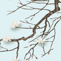 本命年领结婚证不办婚礼可以吗 过了属相年办婚礼旺福旺运