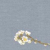 1986年属虎女人晚年运势 福气满满生活富足