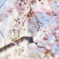 属虎的过了36岁就顺了 三十六岁迎来转折