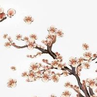 98年属虎巳时出生的女孩命运 桃花运比较好