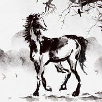 属马人2022年什么颜色旺财运 财运发展每日愈佳