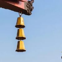 墓在年柱是什么意思？