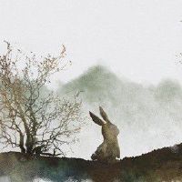 2022年8月生肖兔健康上要注意什么 危险境地凶星打击