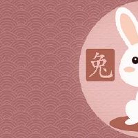 1975属兔47岁之后运气怎样