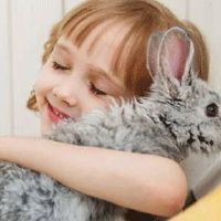 2022年8月出生女宝宝名字 虎年灵动大气的女孩取名用字