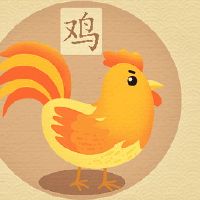 一生旺属鸡的颜色都有哪些