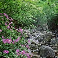 什么样的水晶球队房屋风水布局有利 风水摆件常识