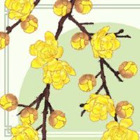 炉中火命的86年能做什么事业顺应五行风生水起