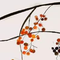 订婚择吉 2022年11月属蛇人订婚良辰吉日