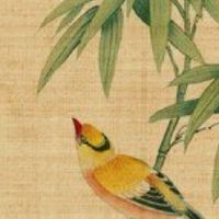 今日穿衣指南:2022年12月9日五行穿衣幸运色