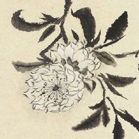 女人的十种富贵面相 特征 最具有福气之相财运亨通