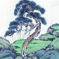 2022年代表财运亨通的公司名字 旺财的名字有哪些