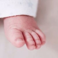 2022年适合张姓的宝宝名字 虎年聪明的孩子名字合集