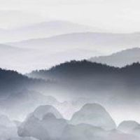 手指纹斗和簸箕图解 财运福报将来临