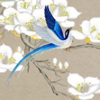 2022年11月29日出生属虎男宝宝命好吗 一生享乐 学业有运
