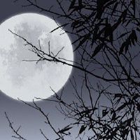 中秋节拜月的风俗 祈求得到月神的守护