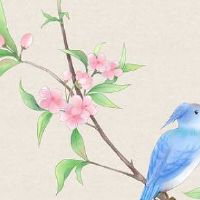 电商店铺名字大全潮流 有内涵高端旺店起名