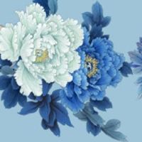 车牌号57不好吗 最新版吉利发财号码