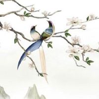 777车牌号最佳寓意 盘点有意义的吉祥车牌