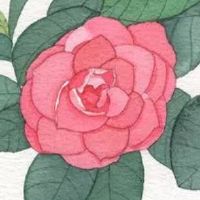 好听的做手工店名免费 高级大气店面名字