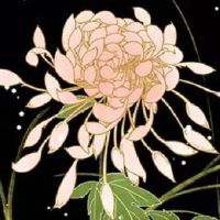 儿童辅食店手工坊取名 高级时尚店铺名字