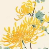 比较大气的二手车名字 高级寓意好店面取名