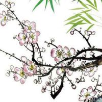 女人左手掌有三角纹好不好 前途无可估量