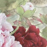 82年属狗手机号后四位 最旺生肖狗的幸运数字组合