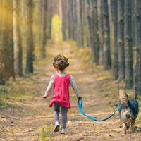 属虎五行缺水的女孩名字 2022年最佳女宝宝取名宜用字