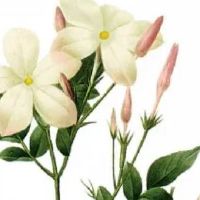 家具设计好听的名字大全 装饰店大气有内涵起名