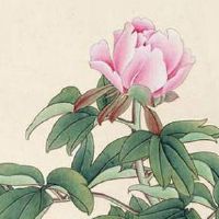 怎么挑选大吉的手机号码 五行吉利磁场吉祥的数字组合