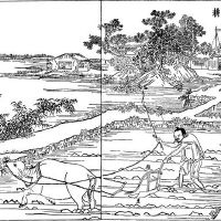 断宅实例5--邵姓,戊辰生,住子山屋,巽方二三浸水坑