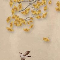 6663车牌怎么样 寓意三阳开泰 霉运离散