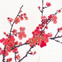 2023年1月22日出生的男孩五行缺什么,是什么命运