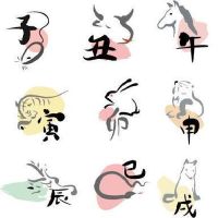 2022年7月13日冲什么生肖,今日属什么生肖