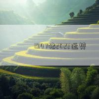 1947年猪2022财富