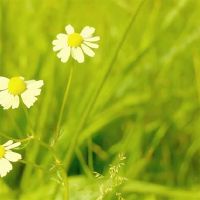 历史上三个最困难的星座有吗?