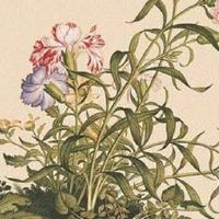 手机号后5位数字能量学 盘点最新能量大吉的手机号