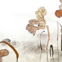 旺夫女面相 相夫教子婚姻美满幸福