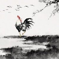 属鸡人怎么改变运气 正确方式转运化煞
