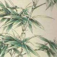 手机数字磁场测试 天医磁场旺桃花的手机号码