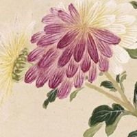2022年8月适合领证的日子 领证大吉的黄道吉日查询