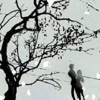 98年虎女和什么生肖相冲 合理避开互不干扰