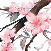 学业好的人手相都有什么特点 节节升高有学识有涵养